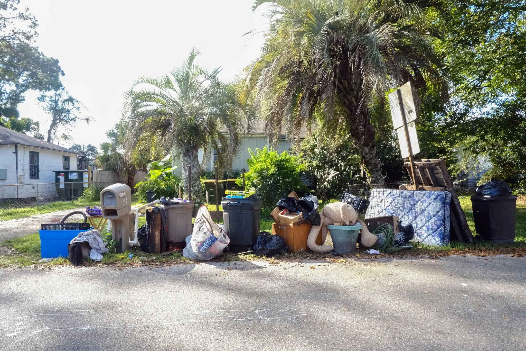 Yard waste and exterior debris